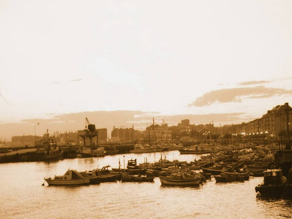 Descripción de la foto