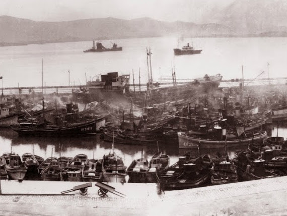 Descrpción de la foto.